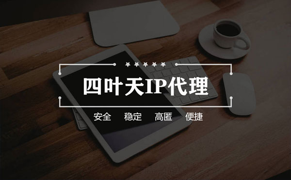 【泉州代理IP】如何快速搭建代理IP？怎么检查代理的效果？